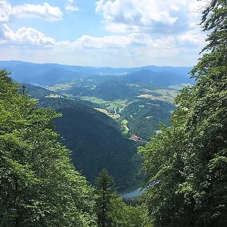 Letniskowe W Pieninach Lodge Grywald